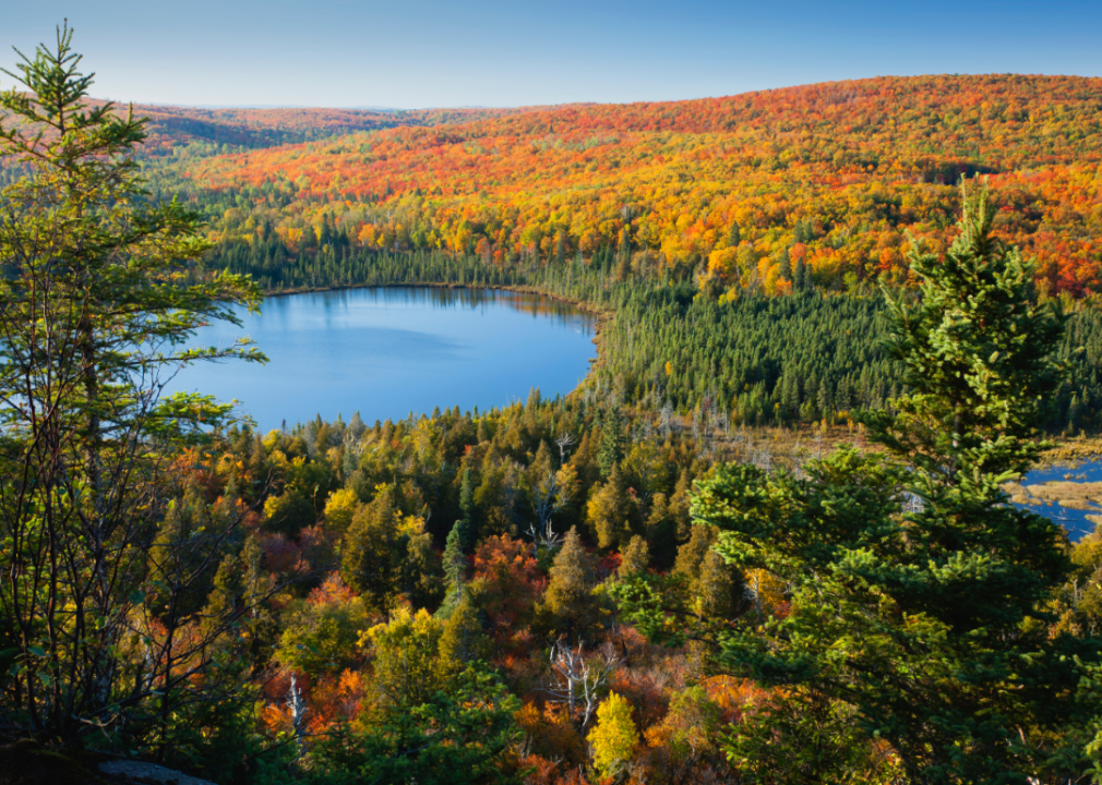 #14. Minnesota